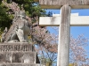 武田神社